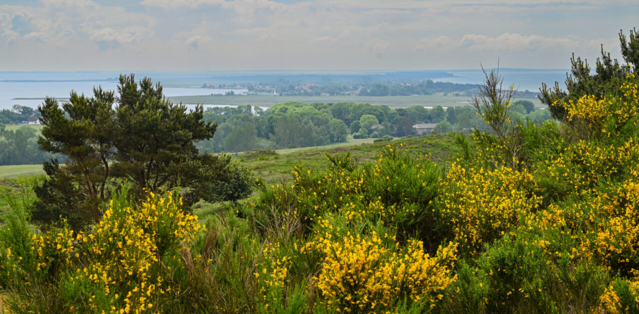 Gedankensplitter von Hiddensee