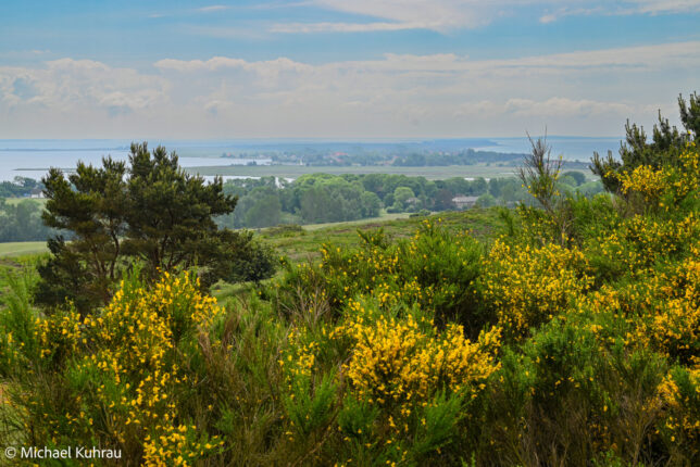 Gedankensplitter von Hiddensee