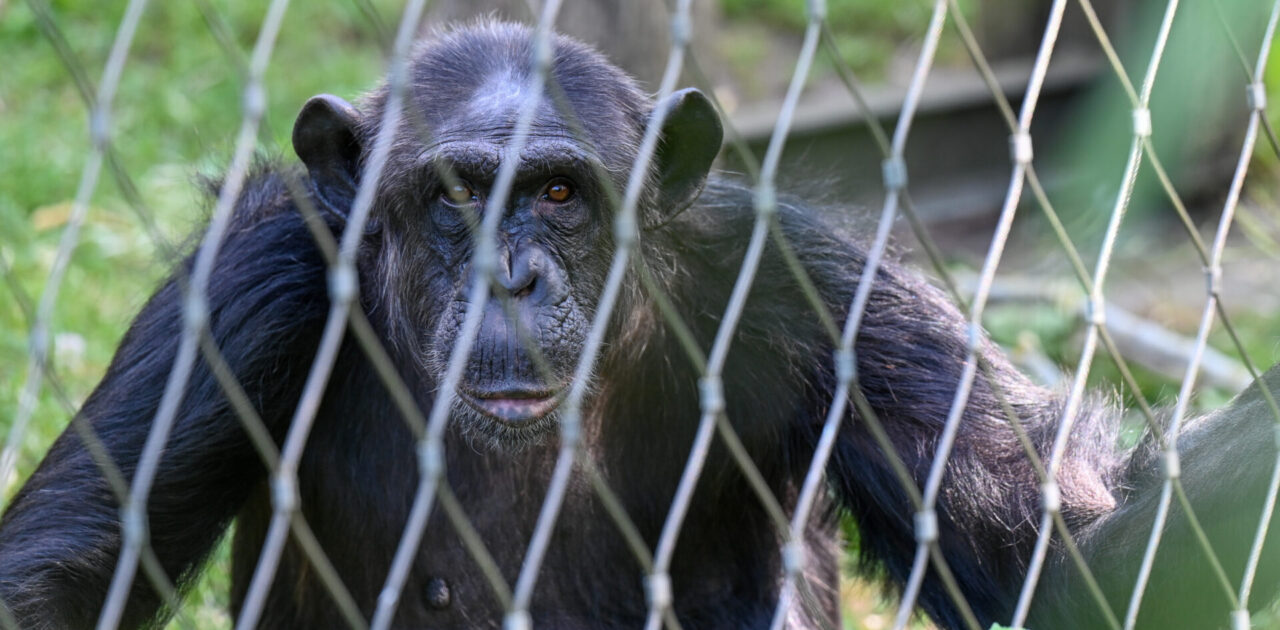 Berliner Zoo