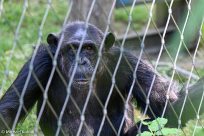 Berliner Zoo