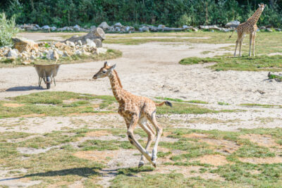 Tierpark Berlin