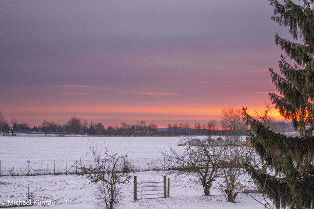 Schneelandschaft