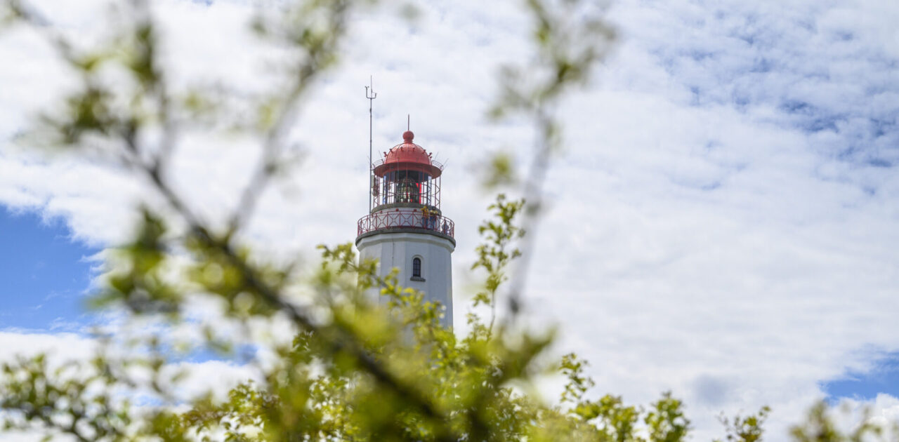 Immer wieder anders - Hiddensee 1 Immer wieder anders - Hiddensee