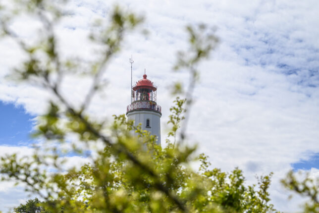Immer wieder anders - Hiddensee