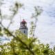 Immer wieder anders - Hiddensee