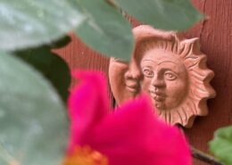 Terrakotta-Sonnensymbol mit zwei Gesichtern, das an einer Wand befestigt ist, umgeben von grünen Blättern und einer pinken Blüte.