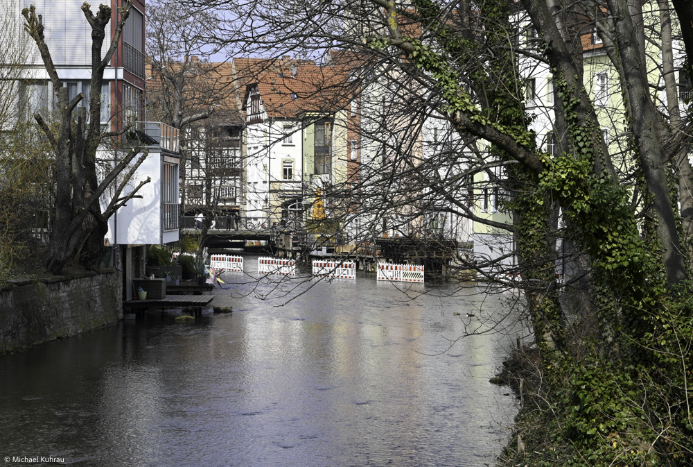 Erfahrungen und Fotos aus Erfurt 28 Erfurt: Ufer der Gera mit Bäumen und Häuserfront am Fluss